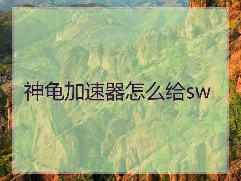 神龟加速器怎么给sw