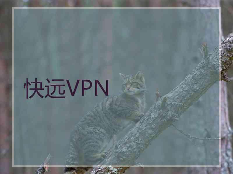 快远VPN