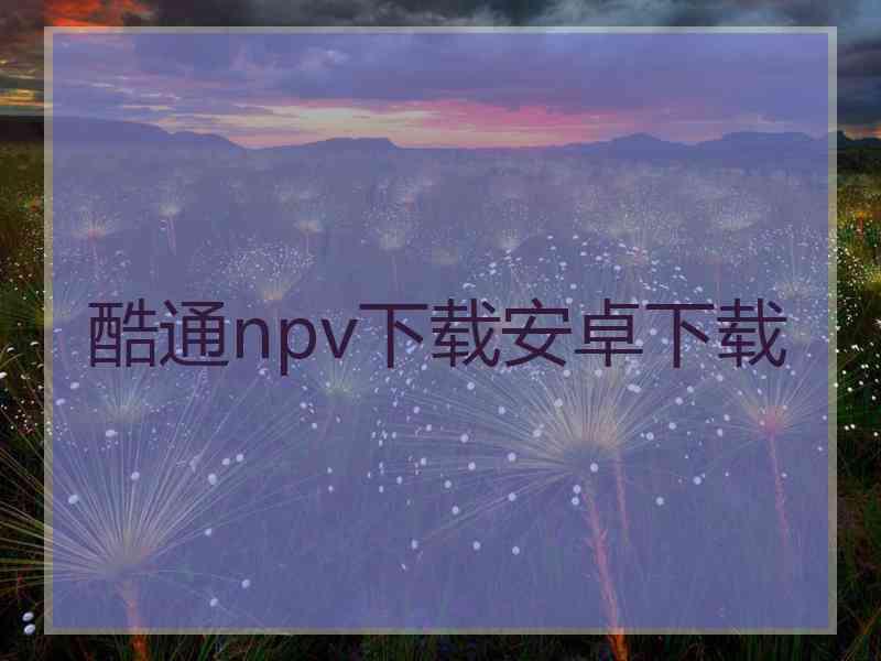 酷通npv下载安卓下载