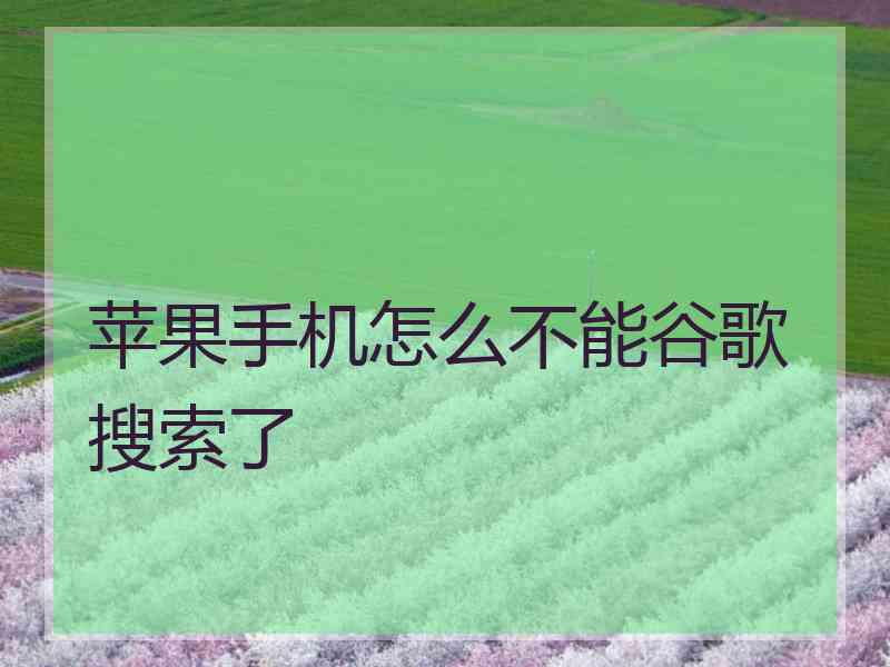 苹果手机怎么不能谷歌搜索了