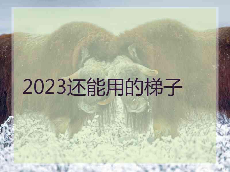 2023还能用的梯子