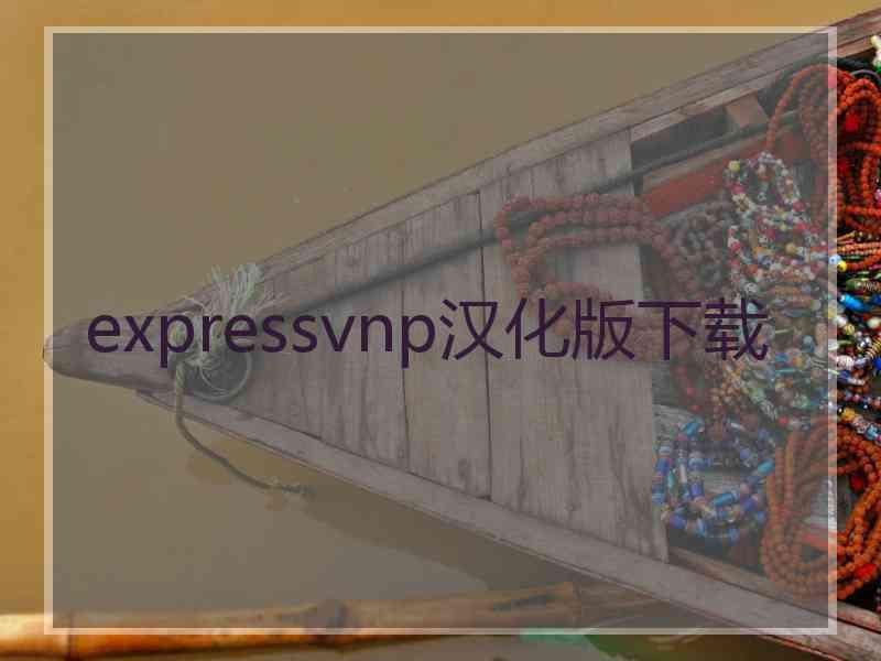 expressvnp汉化版下载