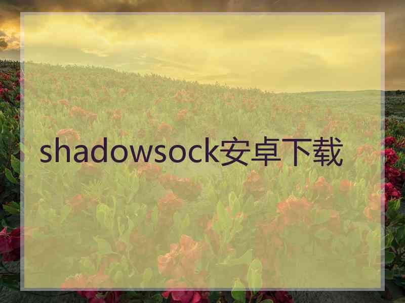 shadowsock安卓下载