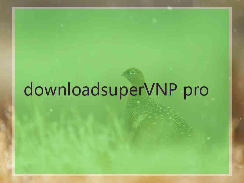 downloadsuperVNP pro