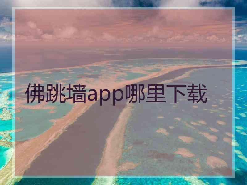 佛跳墙app哪里下载