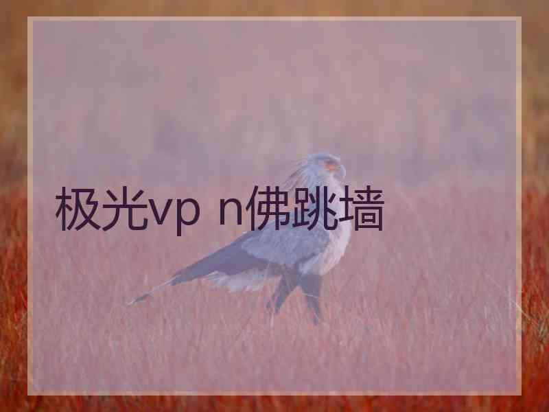 极光vp n佛跳墙