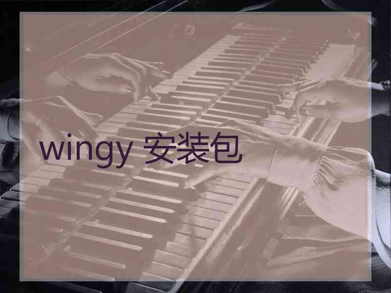 wingy 安装包