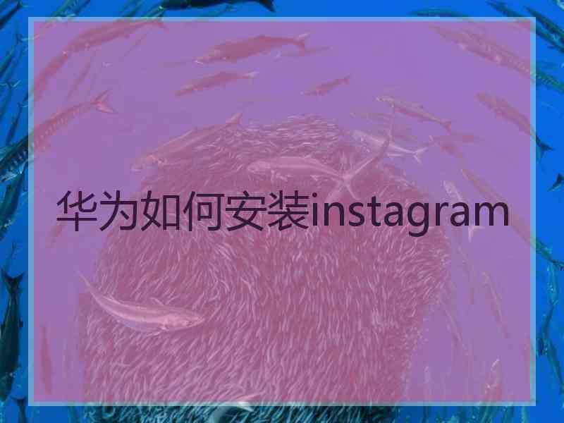 华为如何安装instagram