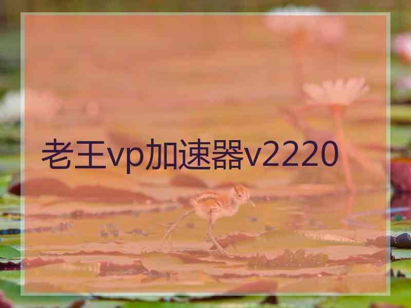 老王vp加速器v2220