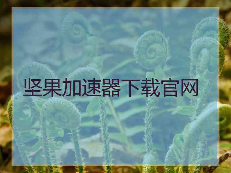 坚果加速器下载官网