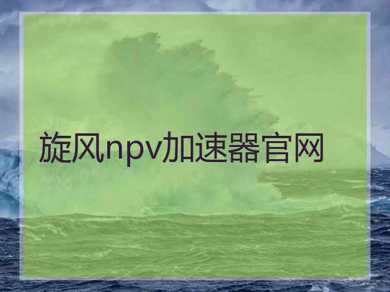 旋风npv加速器官网