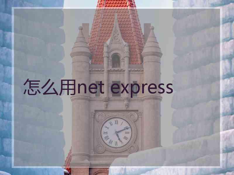 怎么用net express