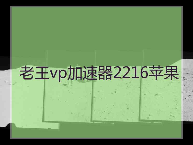 老王vp加速器2216苹果