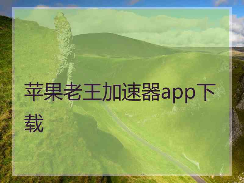 苹果老王加速器app下载