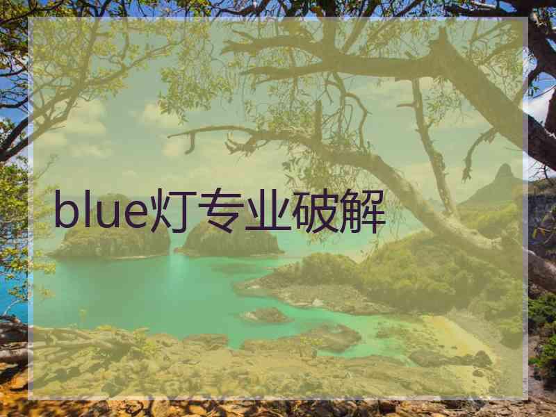 blue灯专业破解