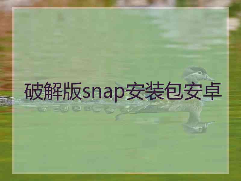 破解版snap安装包安卓