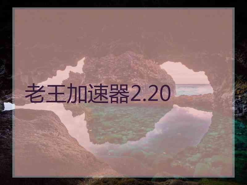 老王加速器2.20