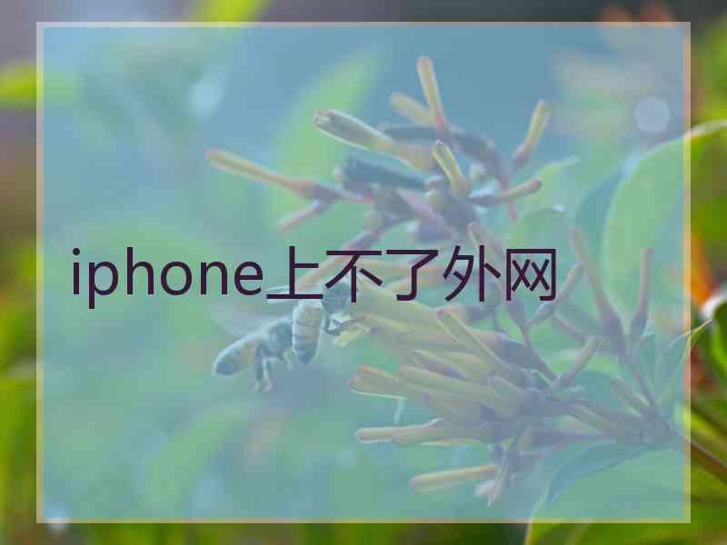 iphone上不了外网