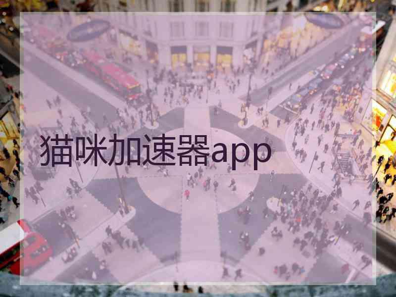 猫咪加速器app