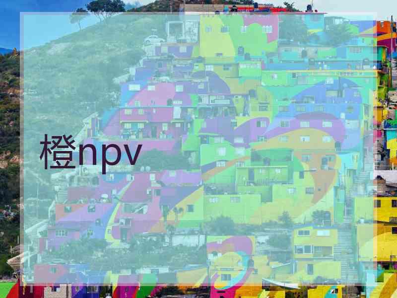 橙npv