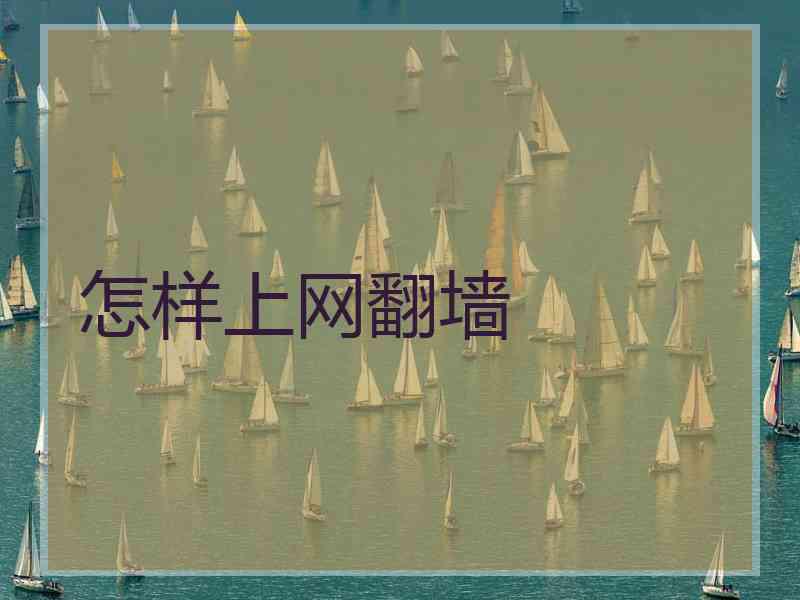 怎样上网翻墙