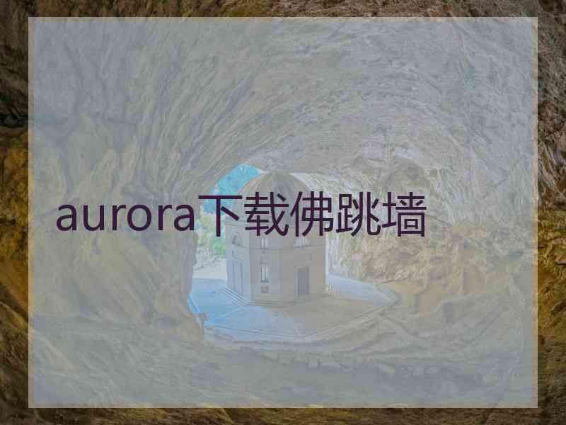 aurora下载佛跳墙