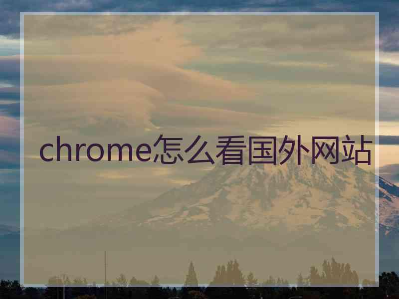 chrome怎么看国外网站