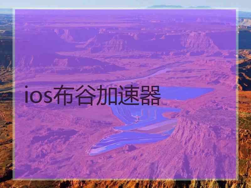 ios布谷加速器