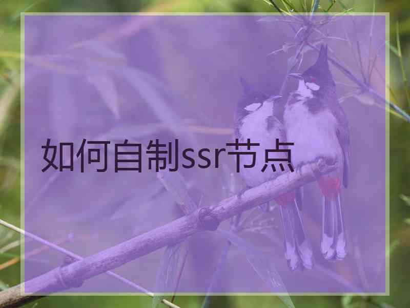 如何自制ssr节点