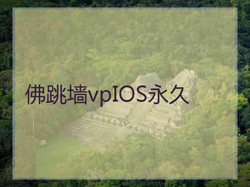 佛跳墙vpIOS永久