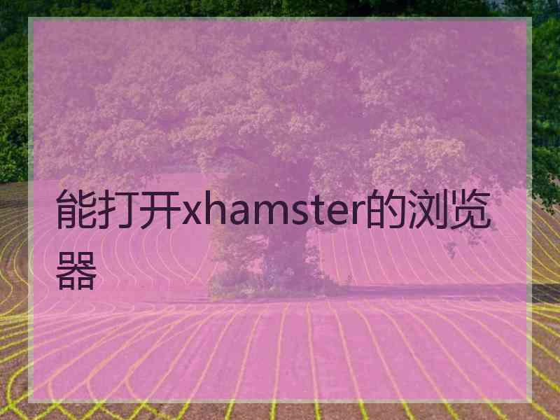 能打开xhamster的浏览器