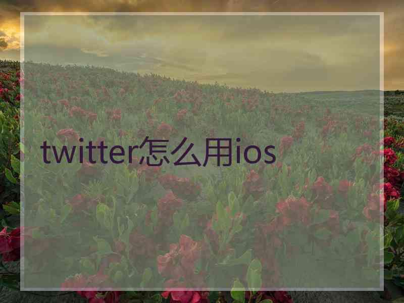 twitter怎么用ios