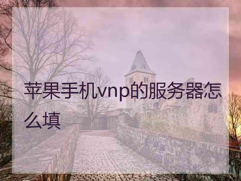 苹果手机vnp的服务器怎么填