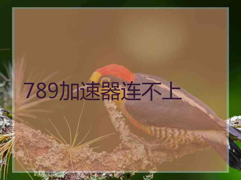 789加速器连不上