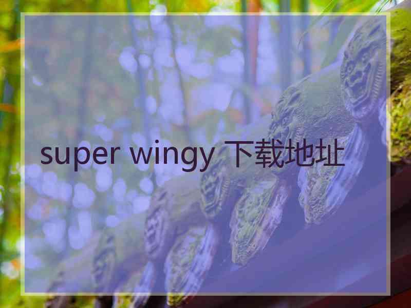 super wingy 下载地址