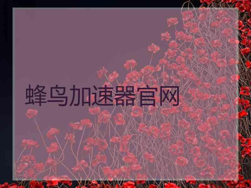 蜂鸟加速器官网