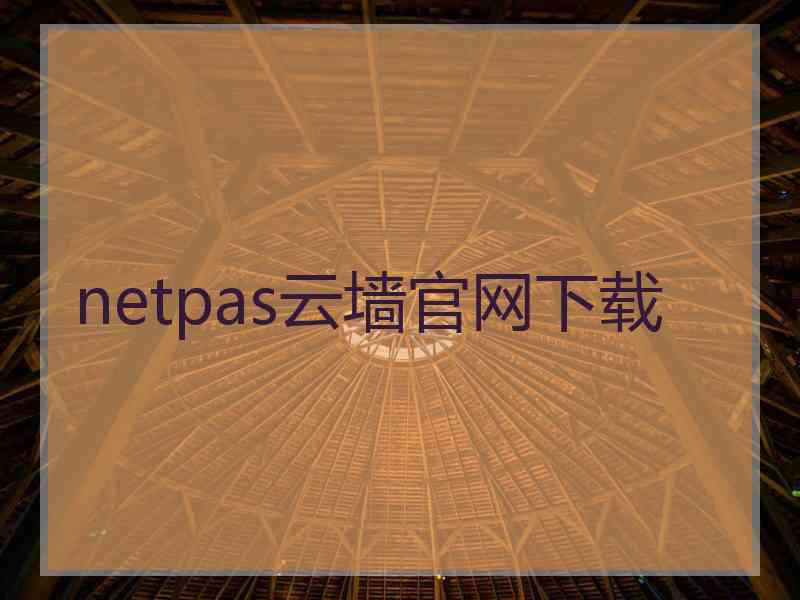 netpas云墙官网下载