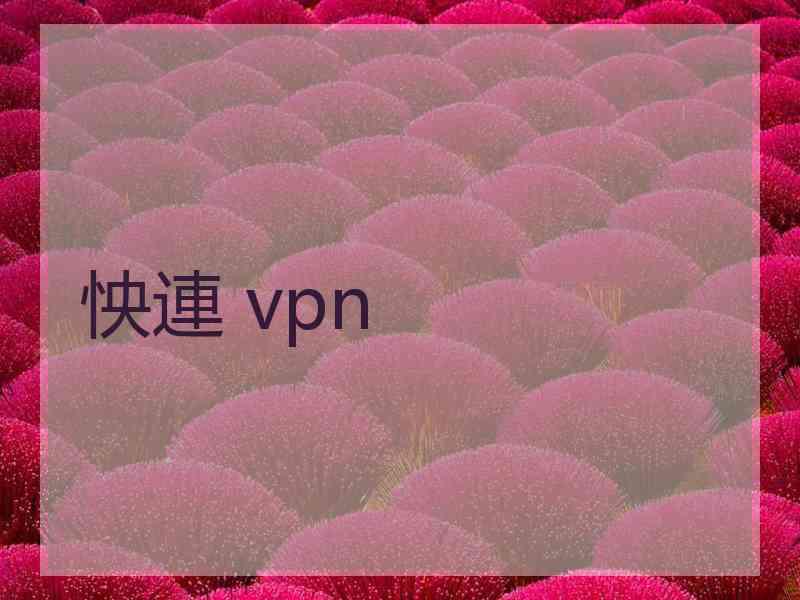 怏連 vpn