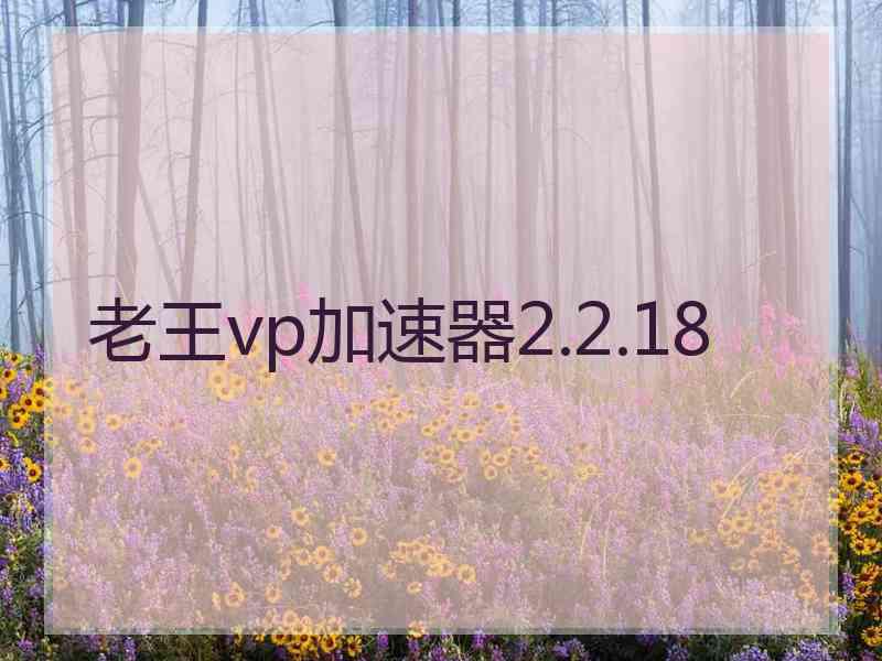 老王vp加速器2.2.18