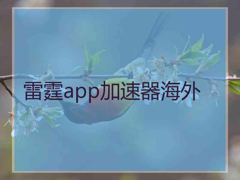 雷霆app加速器海外