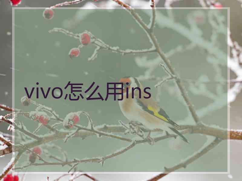 vivo怎么用ins