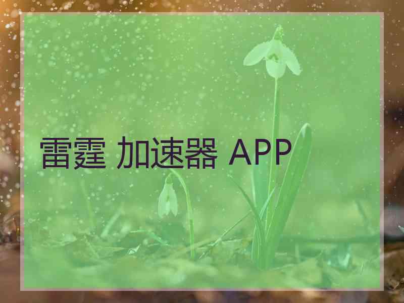 雷霆 加速器 APP