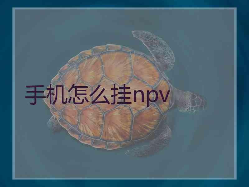 手机怎么挂npv