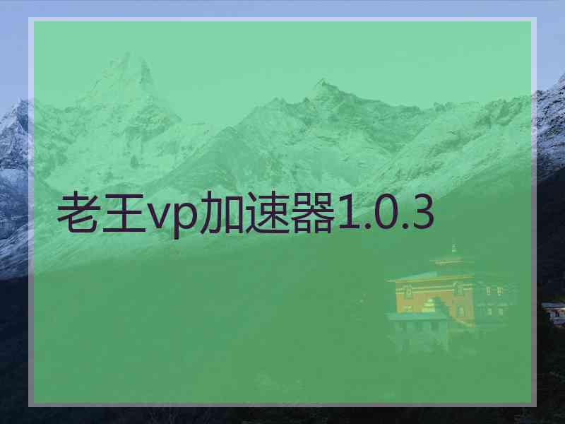 老王vp加速器1.0.3