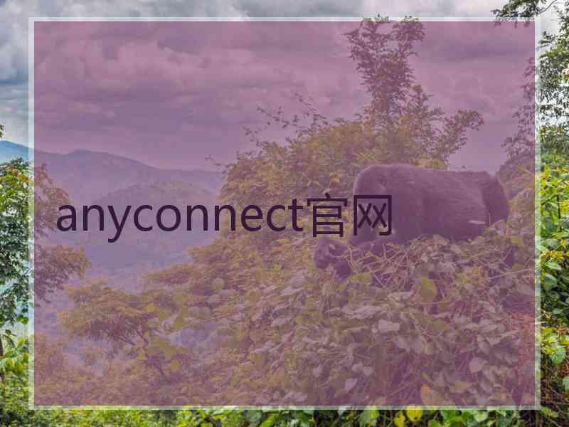 anyconnect官网