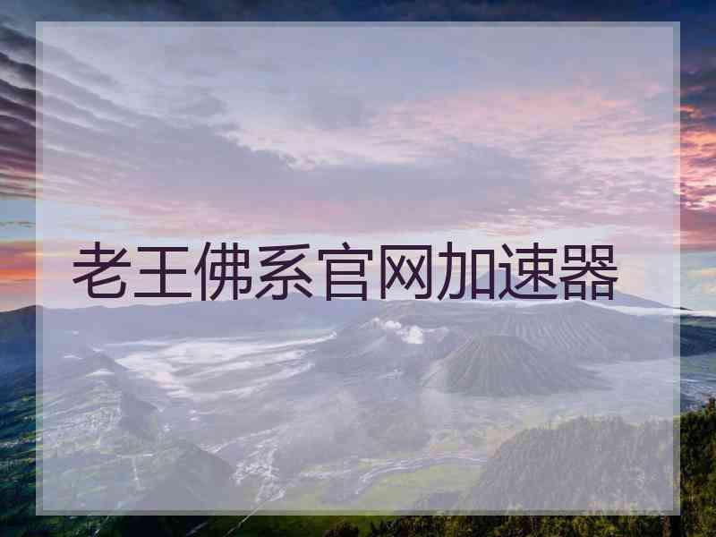 老王佛系官网加速器