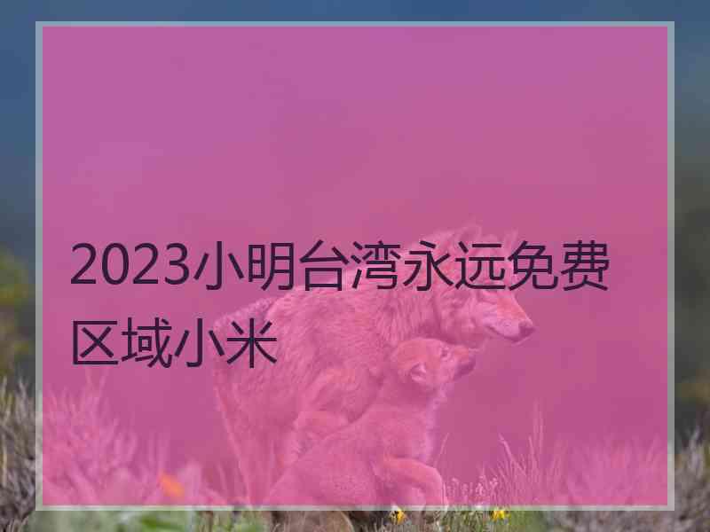 2023小明台湾永远免费区域小米