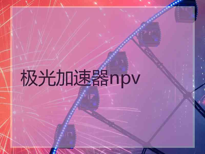 极光加速器npv