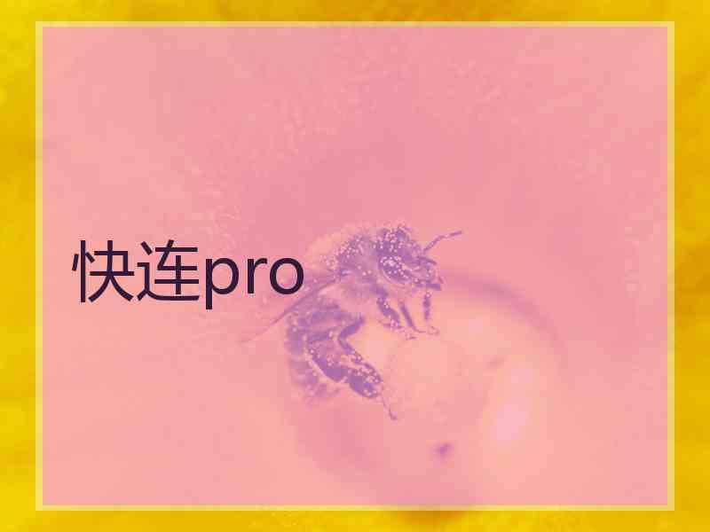 快连pro