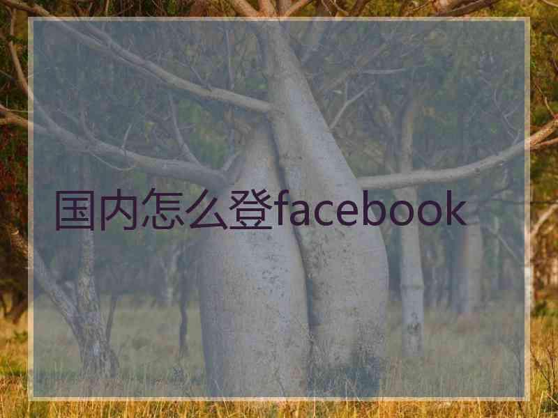 国内怎么登facebook